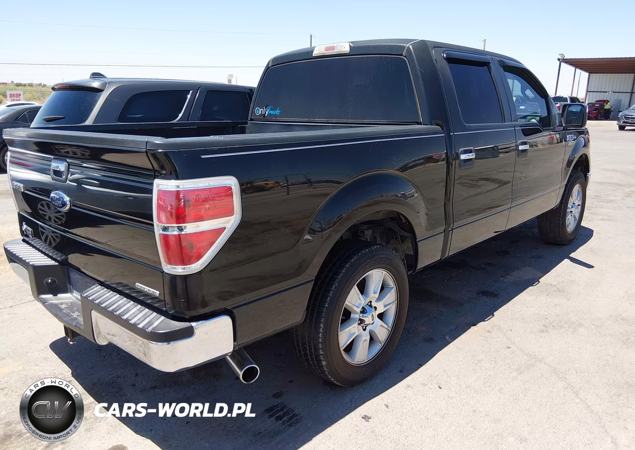2013 Ford F-150 Xlt VIN:1FTFW1CF8DKE10389 - 4