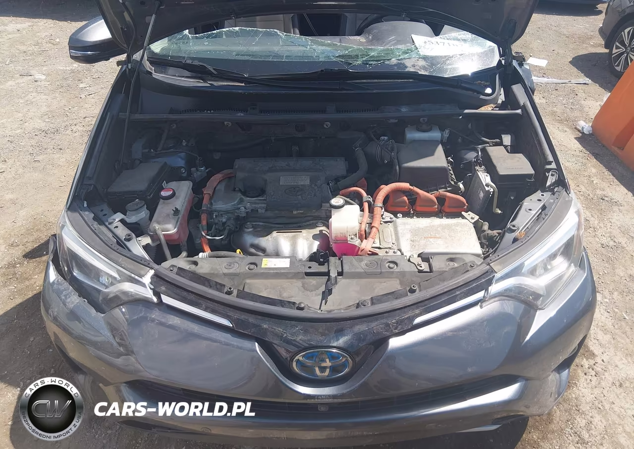 2016 Toyota Rav4 Hybrid Limited VIN:JTMDJREV3GD046240 - 10