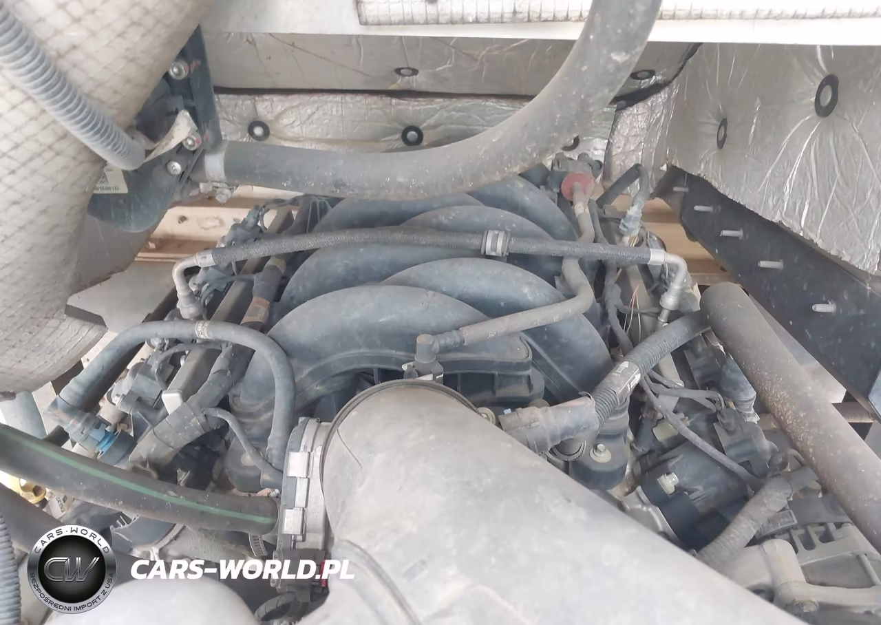 2022 Ford F-59 Commercial Stripped VIN:1F64F5KN0N0A05683 - 9