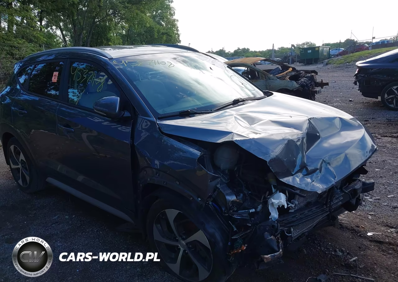 2017 Hyundai Tucson Sport VIN:KM8J33A27HU519947 - 6