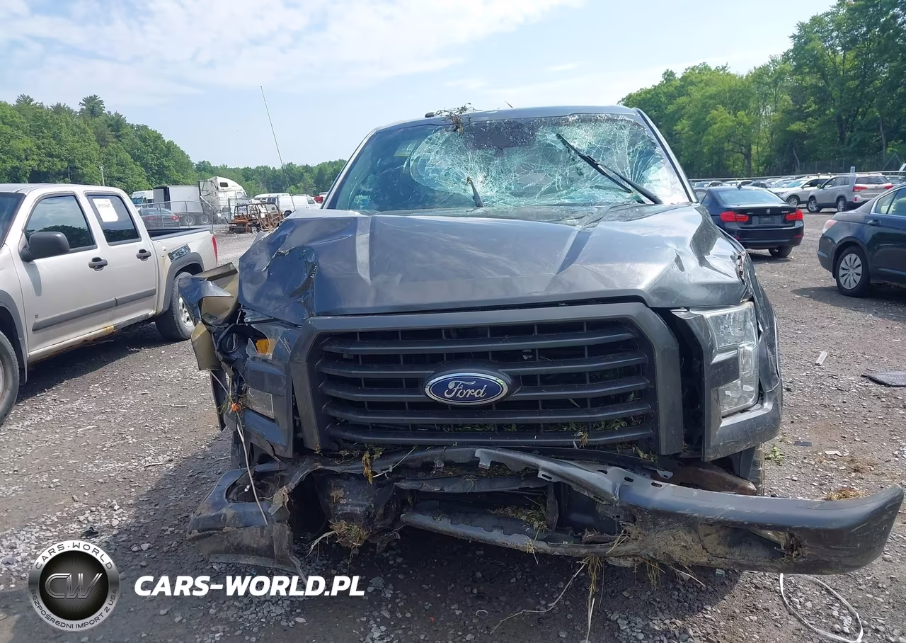 2016 Ford F-150 Xlt VIN:1FTEX1EP4GFB06682 - 11