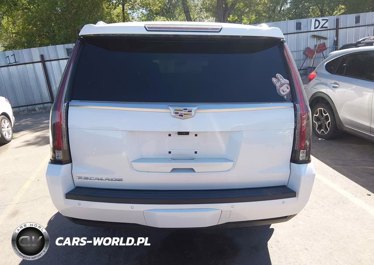 2018 Cadillac Escalade Esv Premium Luxury VIN:1GYS4JKJ8JR156996 - 17