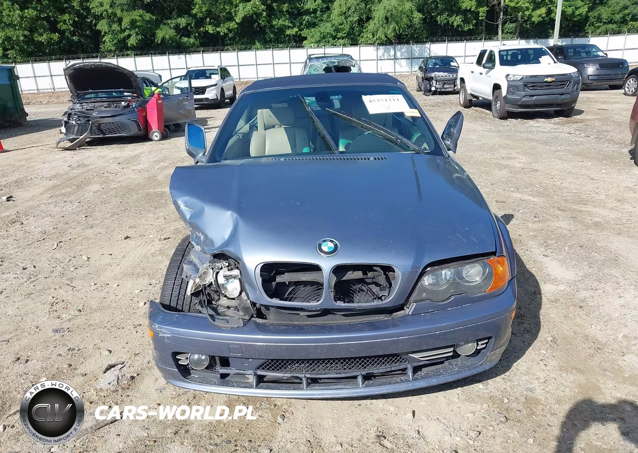 2003 BMW 3 Series 325Ci VIN:WBABS33493PG89938 - 12