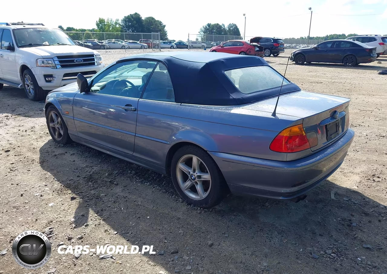 2003 BMW 3 Series 325Ci VIN:WBABS33493PG89938 - 3