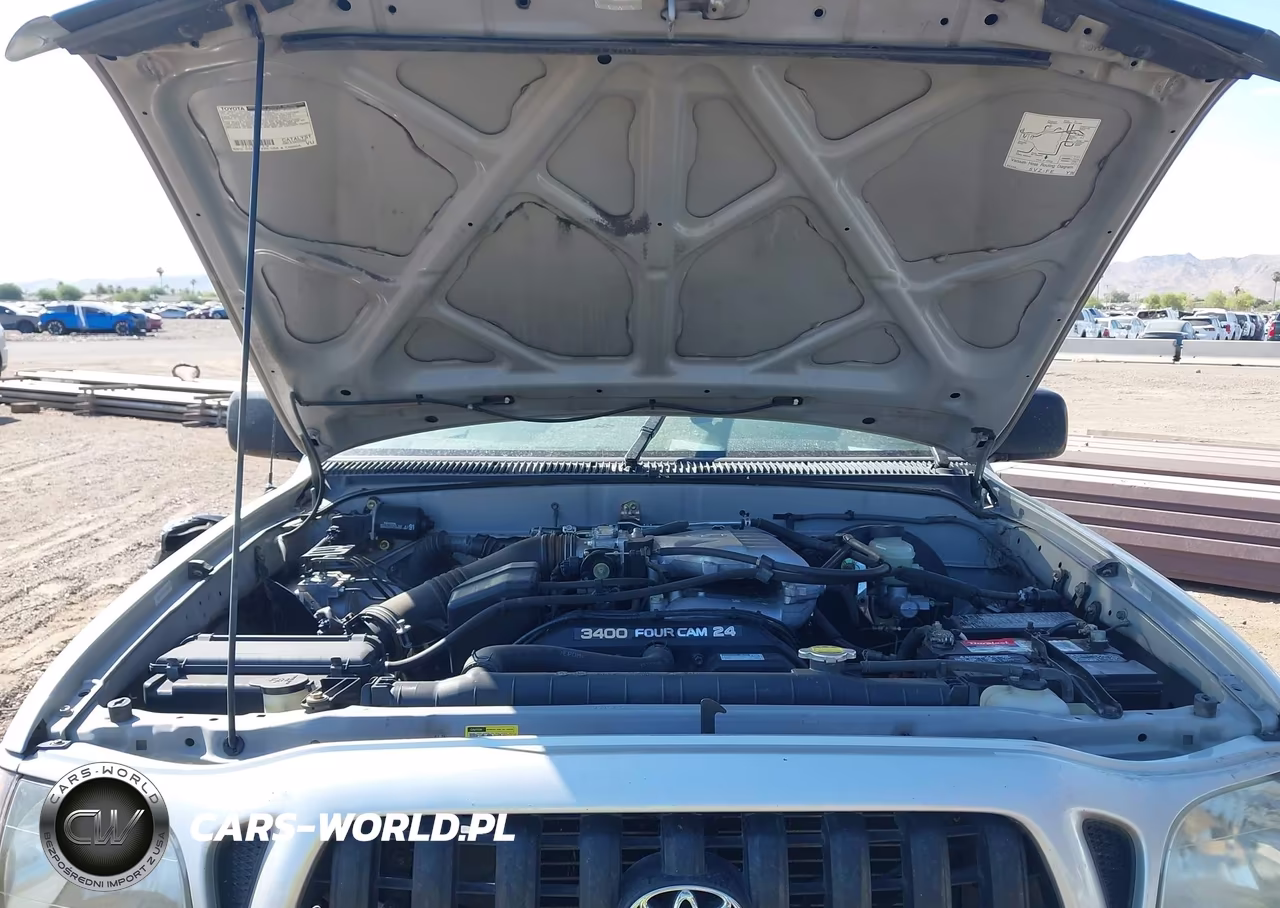 2003 Toyota Tacoma Prerunner V6 VIN:5TESN92N13Z226091 - 10