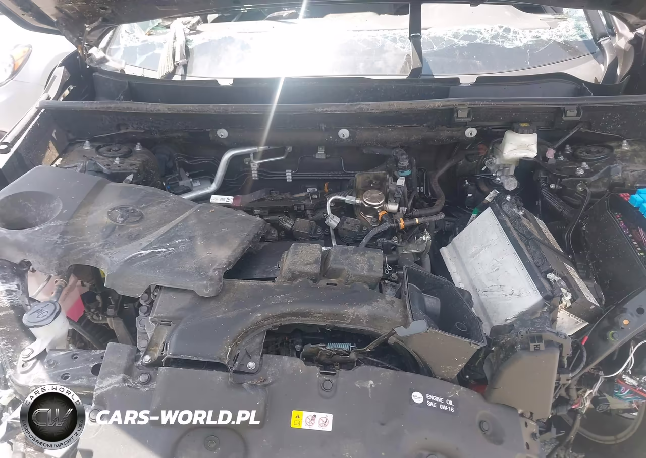 2024 Toyota Rav4 Xle VIN:2T3W1RFVXRC262505 - 10