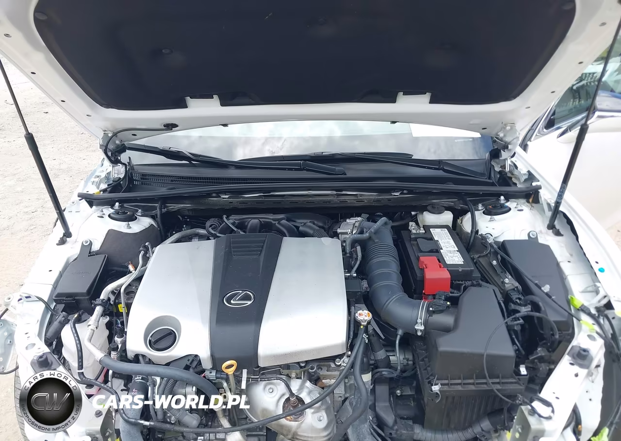 2025 Lexus Es 350 VIN:58ADZ1B1XSU196614 - 10