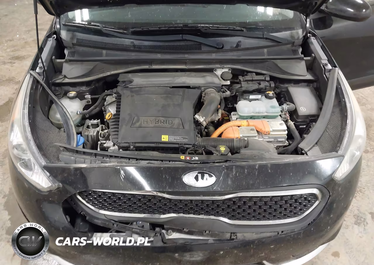 2019 Kia Niro Lx VIN:KNDCB3LCXK5217849 - 10
