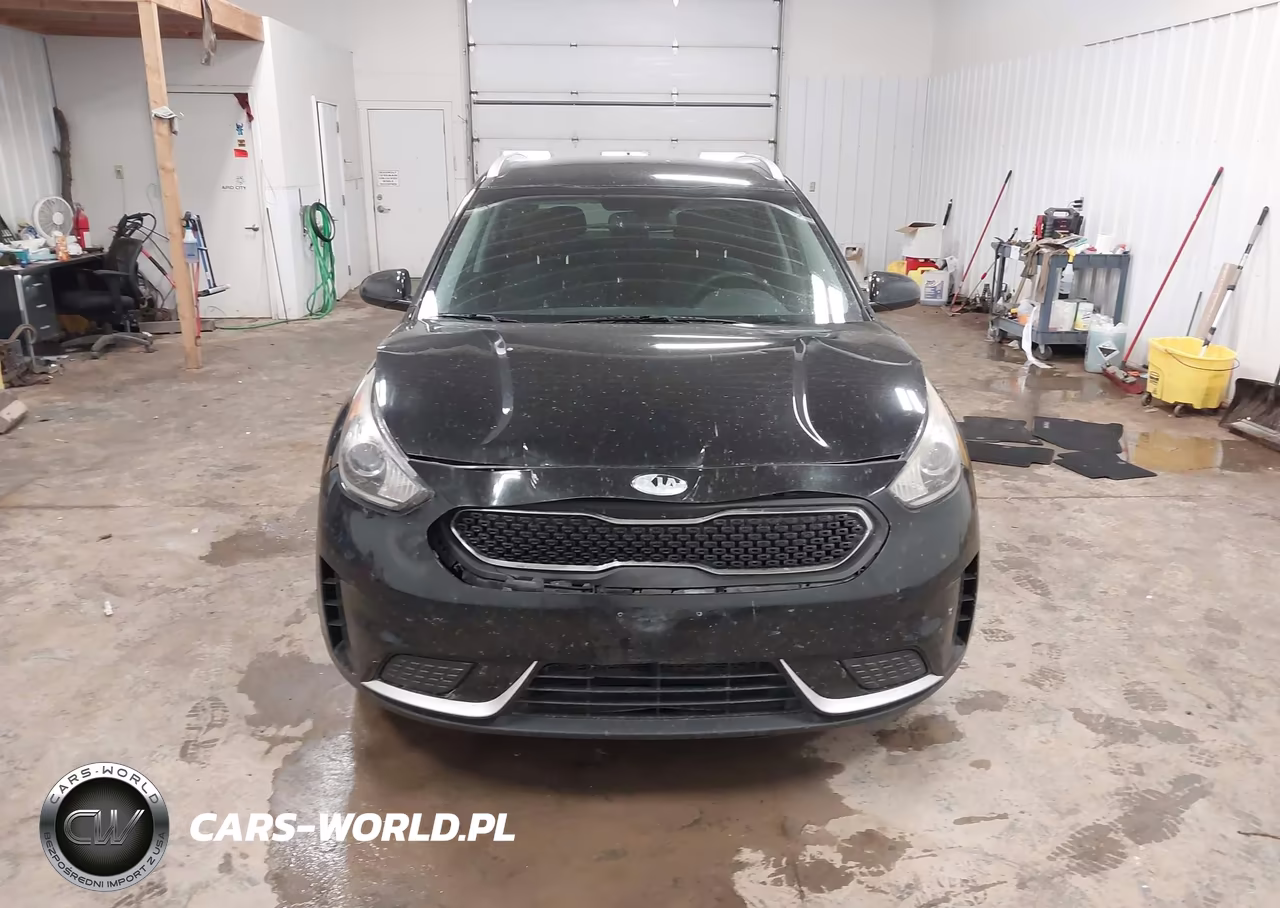 2019 Kia Niro Lx VIN:KNDCB3LCXK5217849 - 12