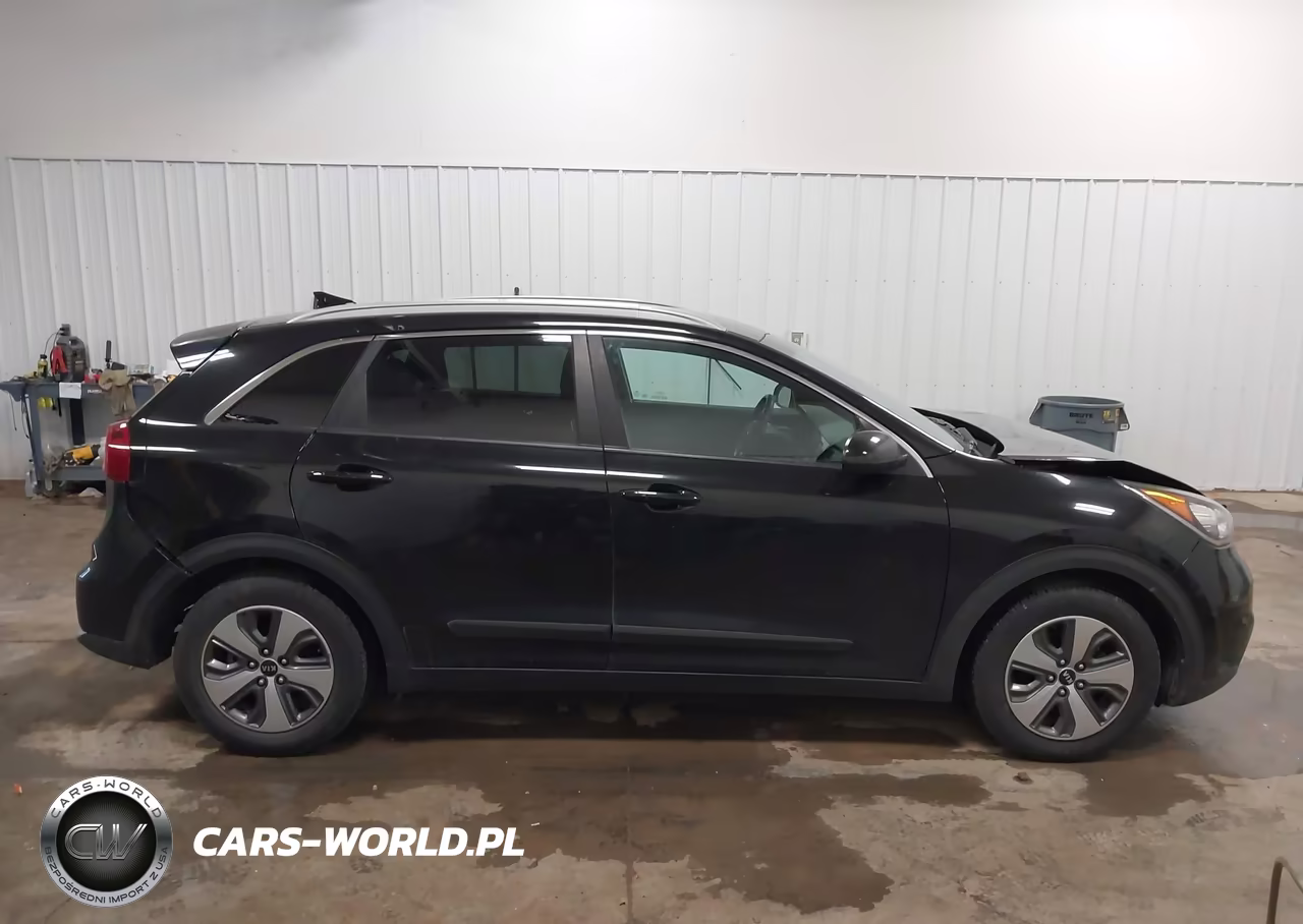 2019 Kia Niro Lx VIN:KNDCB3LCXK5217849 - 13