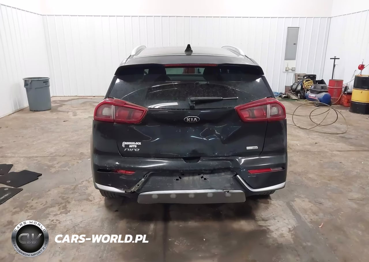 2019 Kia Niro Lx VIN:KNDCB3LCXK5217849 - 16