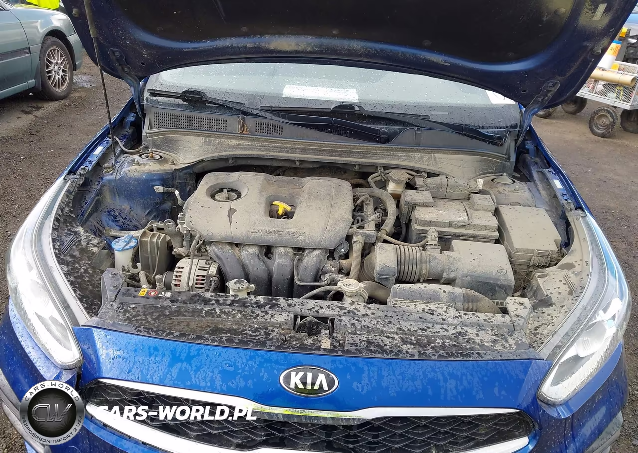 2019 Kia Forte S VIN:3KPF34AD0KE110647 - 10