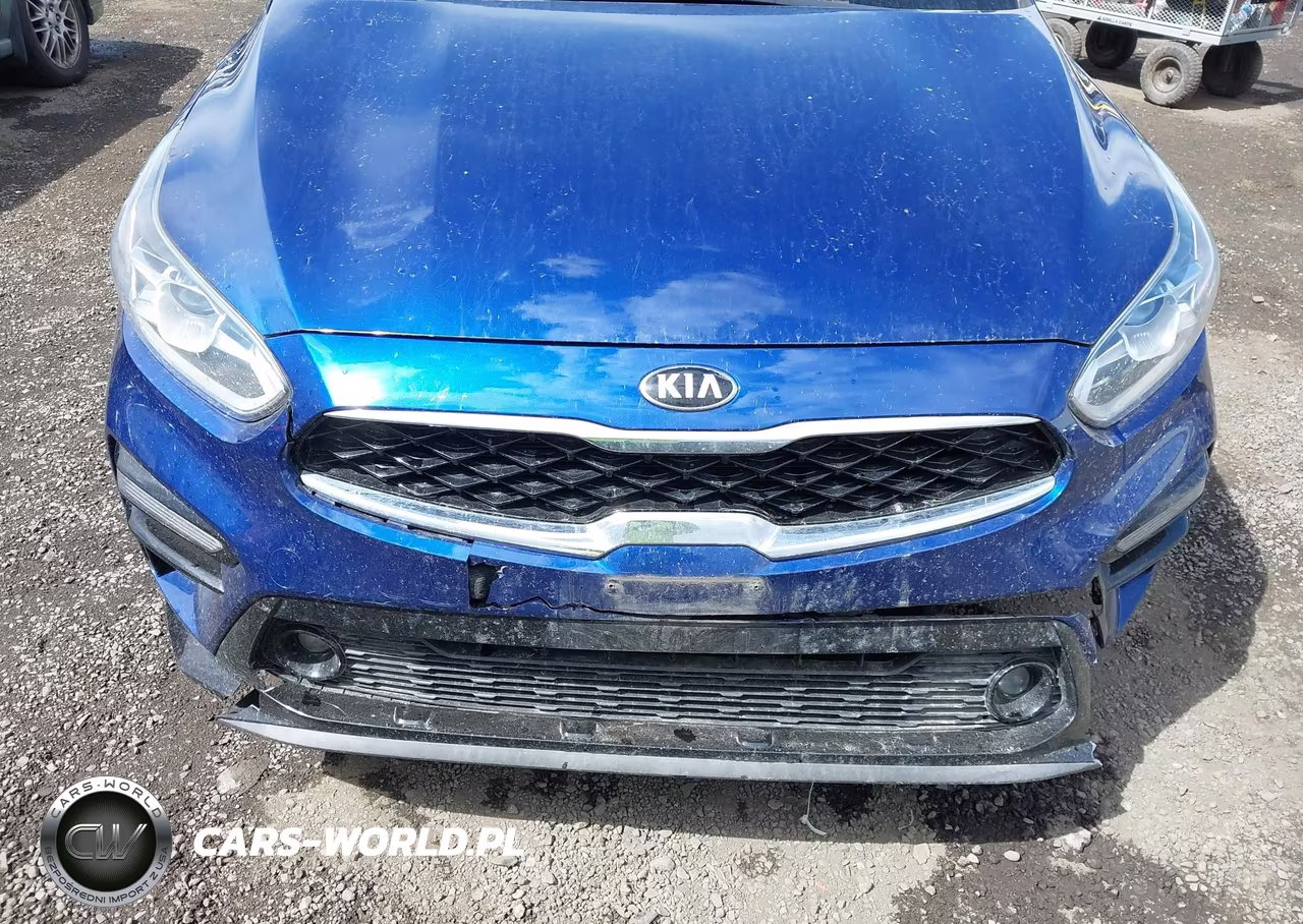 2019 Kia Forte S VIN:3KPF34AD0KE110647 - 17