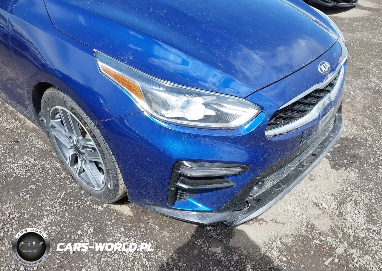 2019 Kia Forte S VIN:3KPF34AD0KE110647 - 18