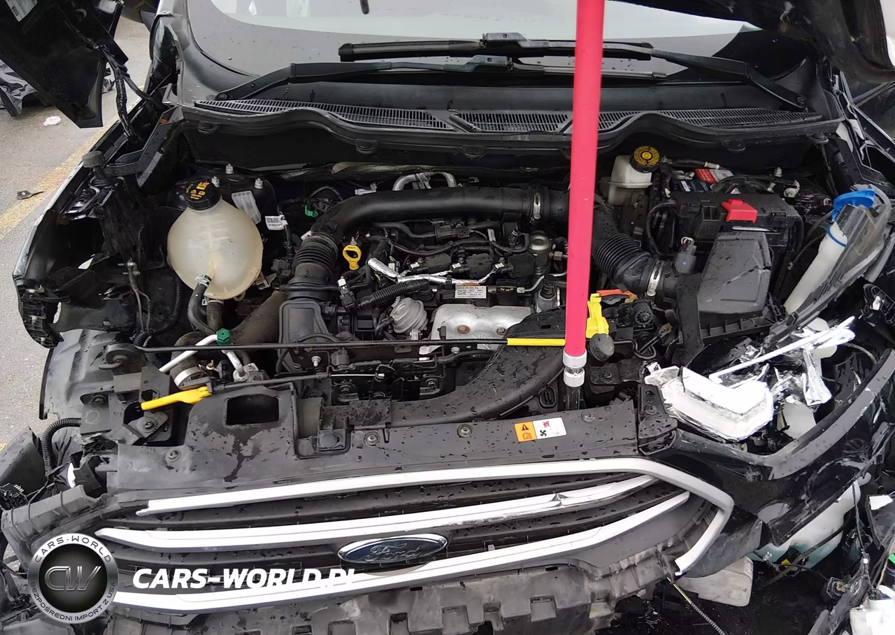 2018 Ford Ecosport Se VIN:MAJ3P1TE5JC249857 - 10