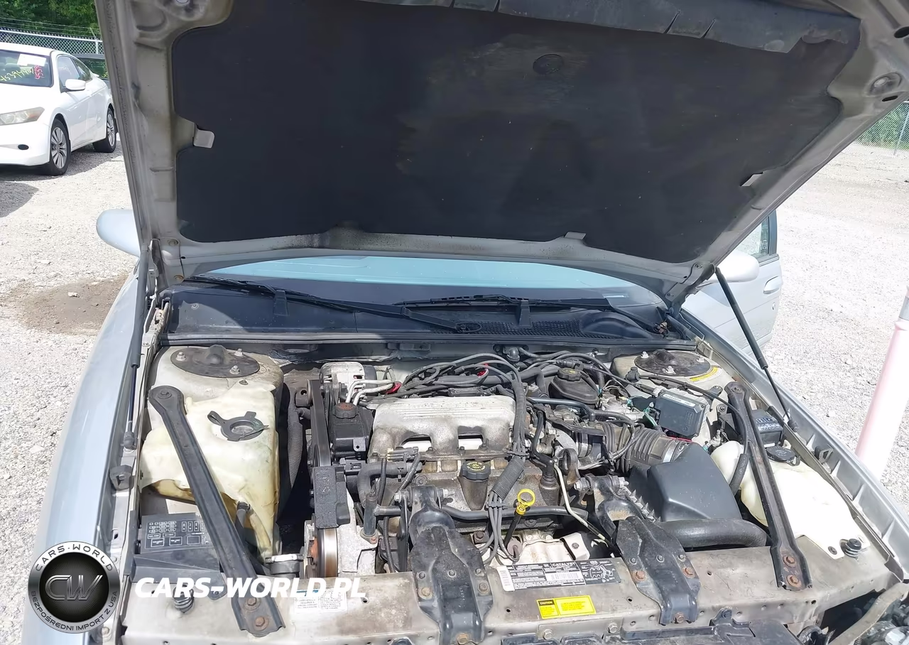 1995 Chevrolet Lumina Ls VIN:2G1WN52M3S9225880 - 10