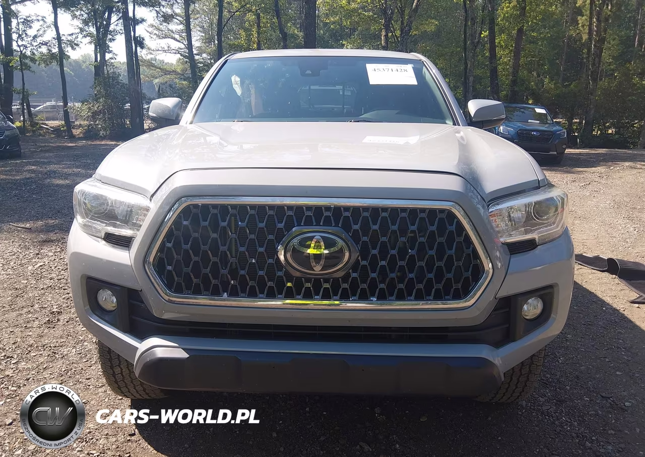 2019 Toyota Tacoma Trd Off Road VIN:3TMDZ5BN2KM065932 - 12