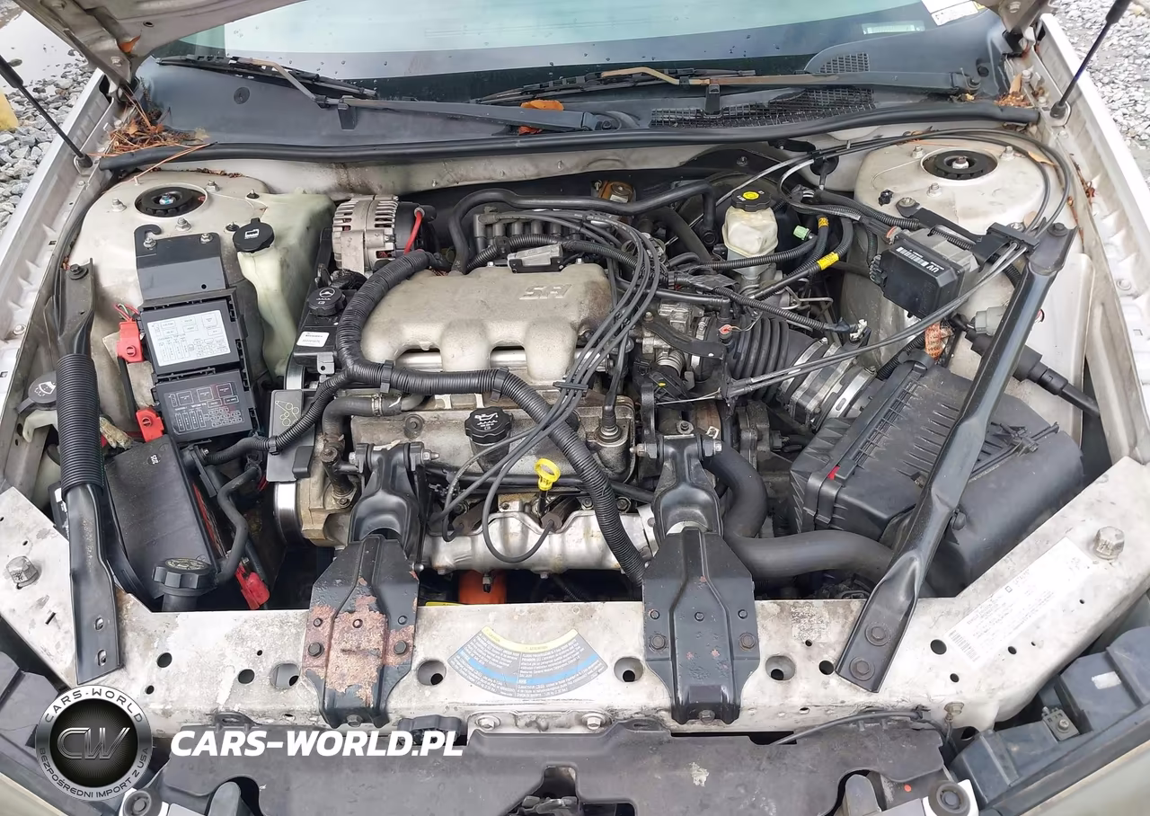 2004 Chevrolet Impala VIN:2G1WF52EX49101825 - 10