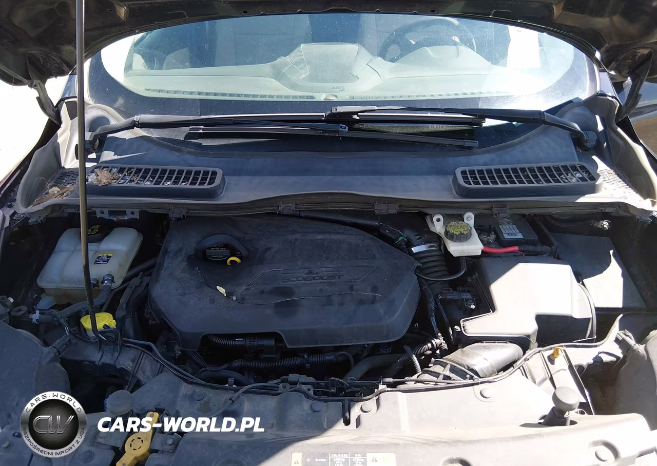 2013 Ford Escape Se VIN:1FMCU0GX1DUC93793 - 10