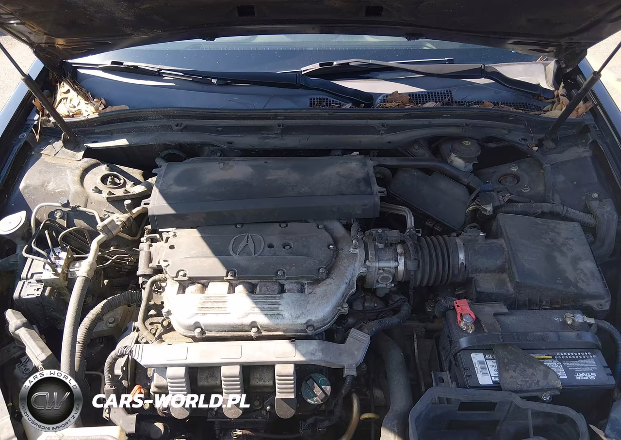 2009 ACURA TL 3.5 VIN:19UUA86579A007973 - 10