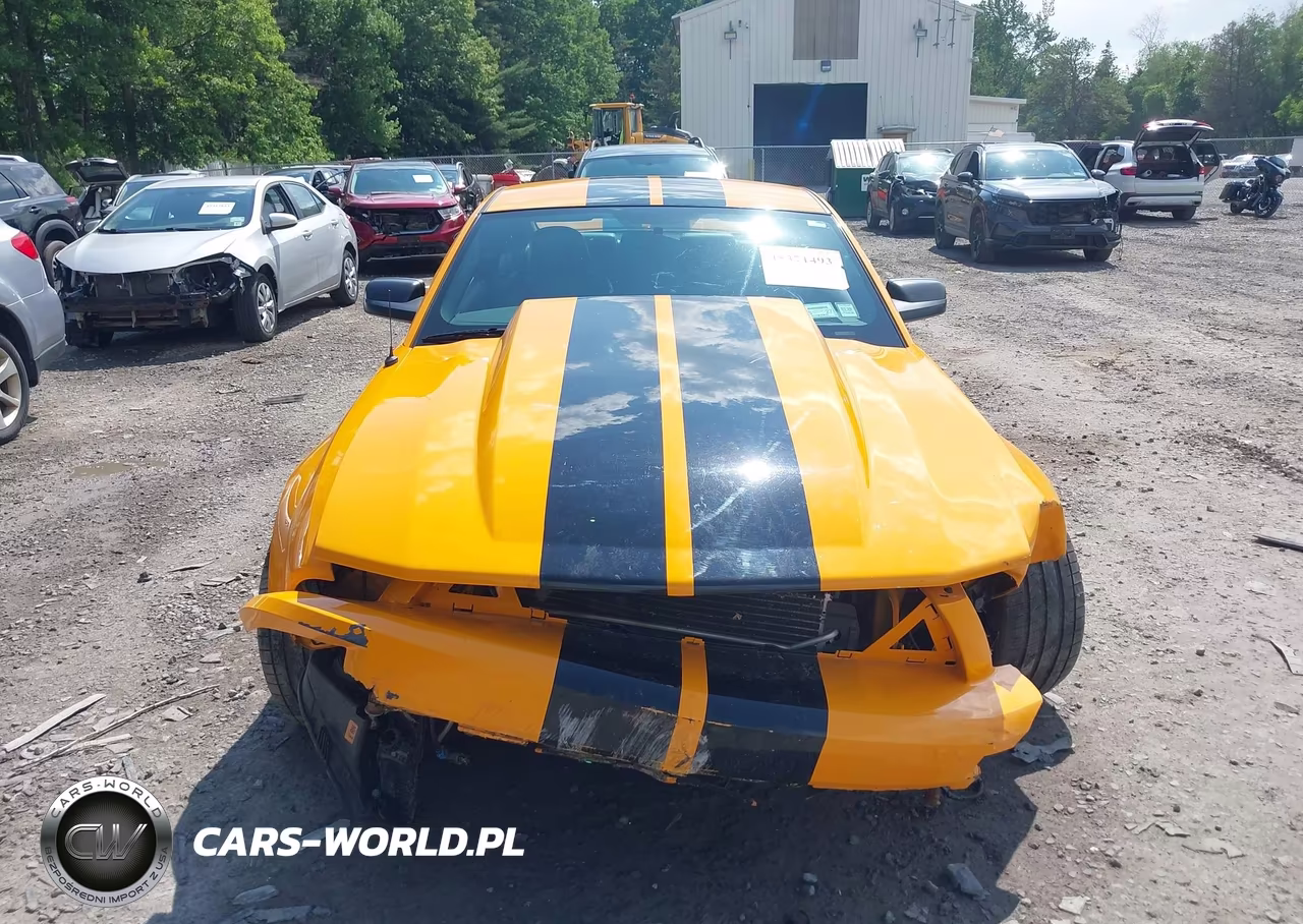 2007 Ford Mustang Gt Deluxe-Gt Premium VIN:1ZVHT82H775268193 - 12