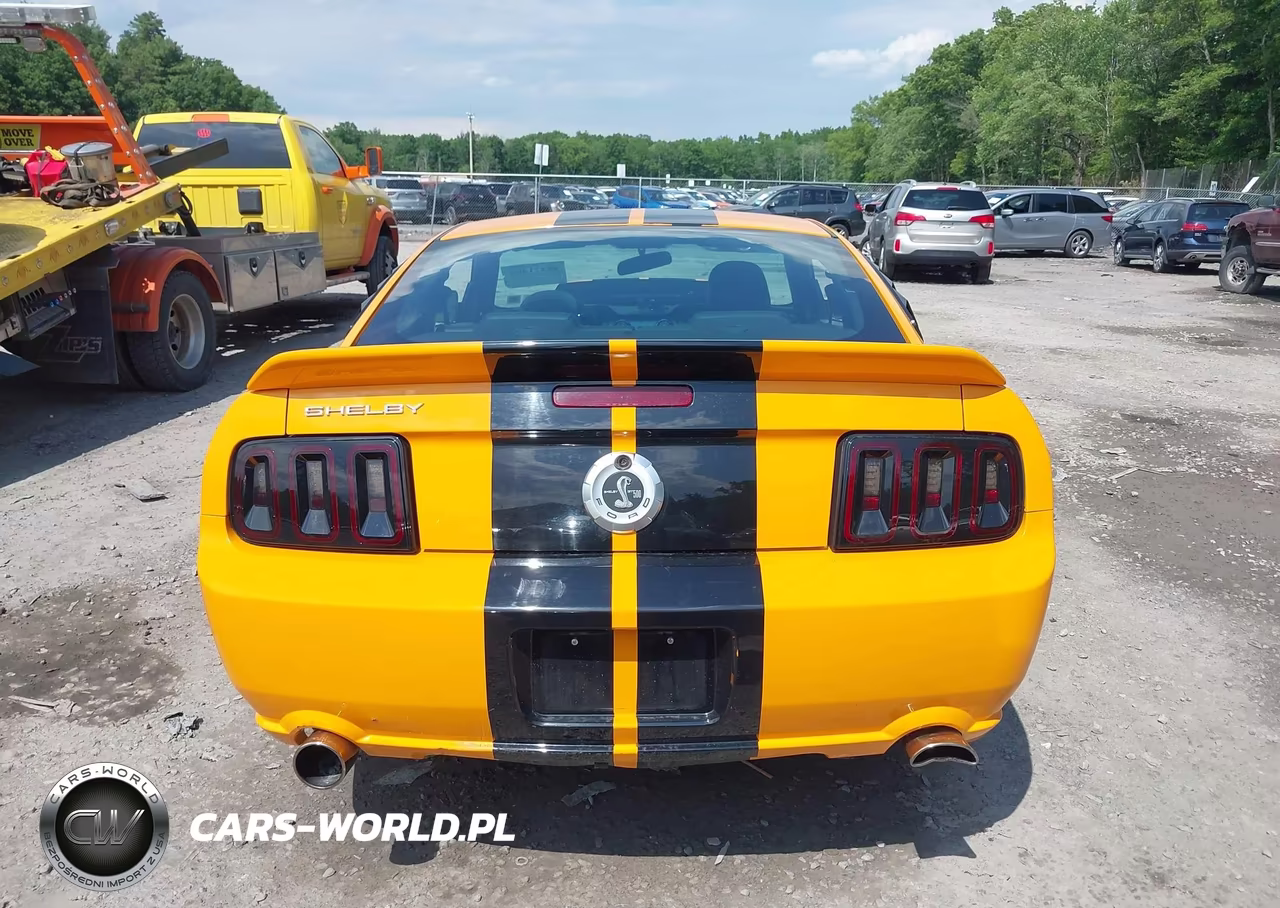 2007 Ford Mustang Gt Deluxe-Gt Premium VIN:1ZVHT82H775268193 - 16