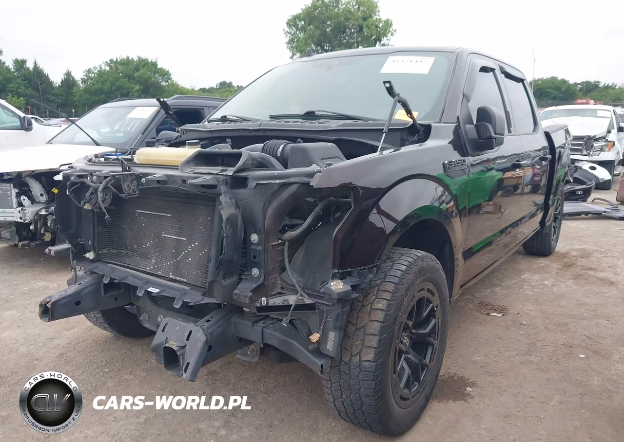 2019 Ford F-150 Xlt VIN:1FTEW1C58KKE44249 - 2