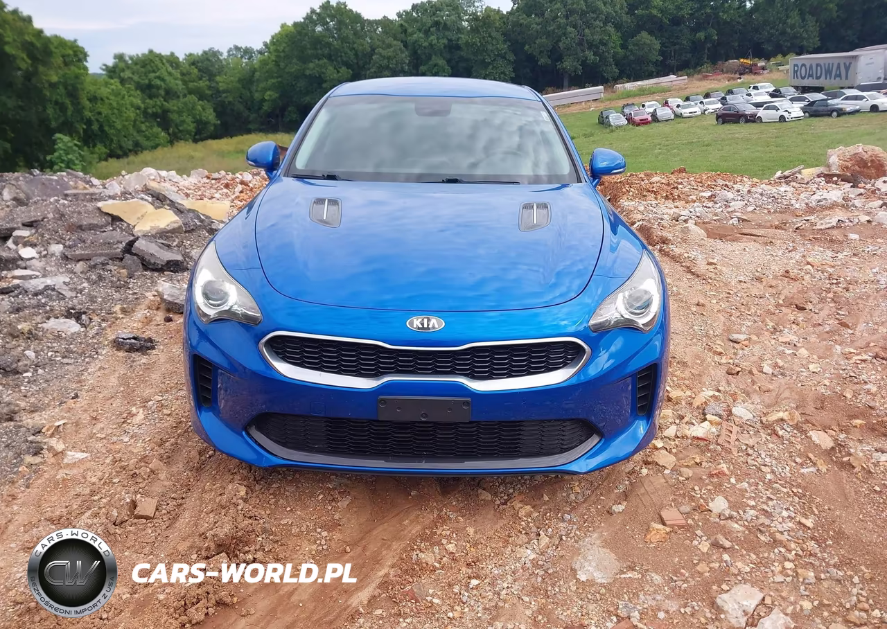2018 Kia Stinger VIN:KNAE15LA2J6041214 - 12