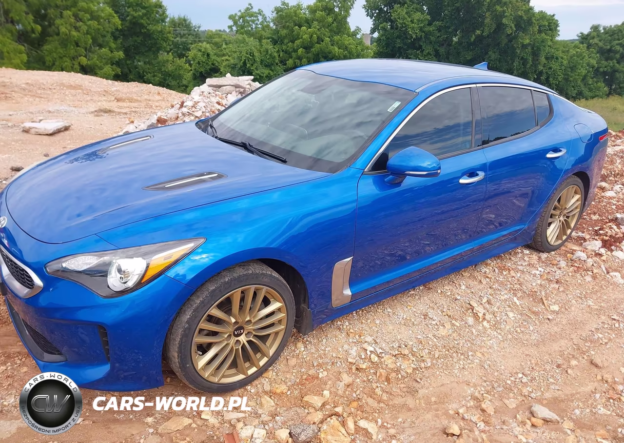 2018 Kia Stinger VIN:KNAE15LA2J6041214 - 2