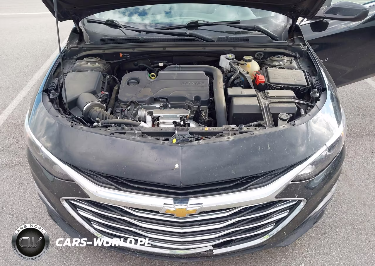 2024 Chevrolet Malibu Fwd 1Lt VIN:1G1ZD5ST3RF167892 - 10
