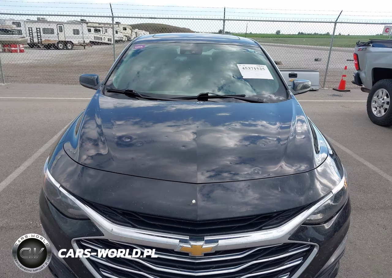 2024 Chevrolet Malibu Fwd 1Lt VIN:1G1ZD5ST3RF167892 - 6