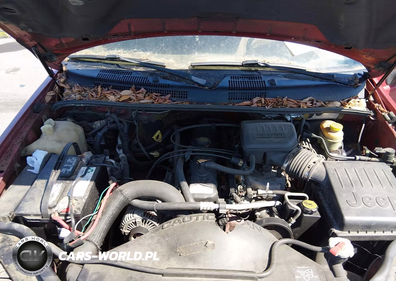 2004 Jeep Grand Cherokee Laredo VIN:1J4GX48S34C145068 - 10