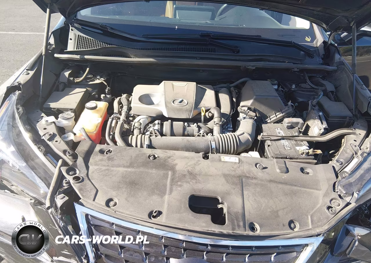 2019 Lexus Nx 300 VIN:JTJBARBZXK2192943 - 10