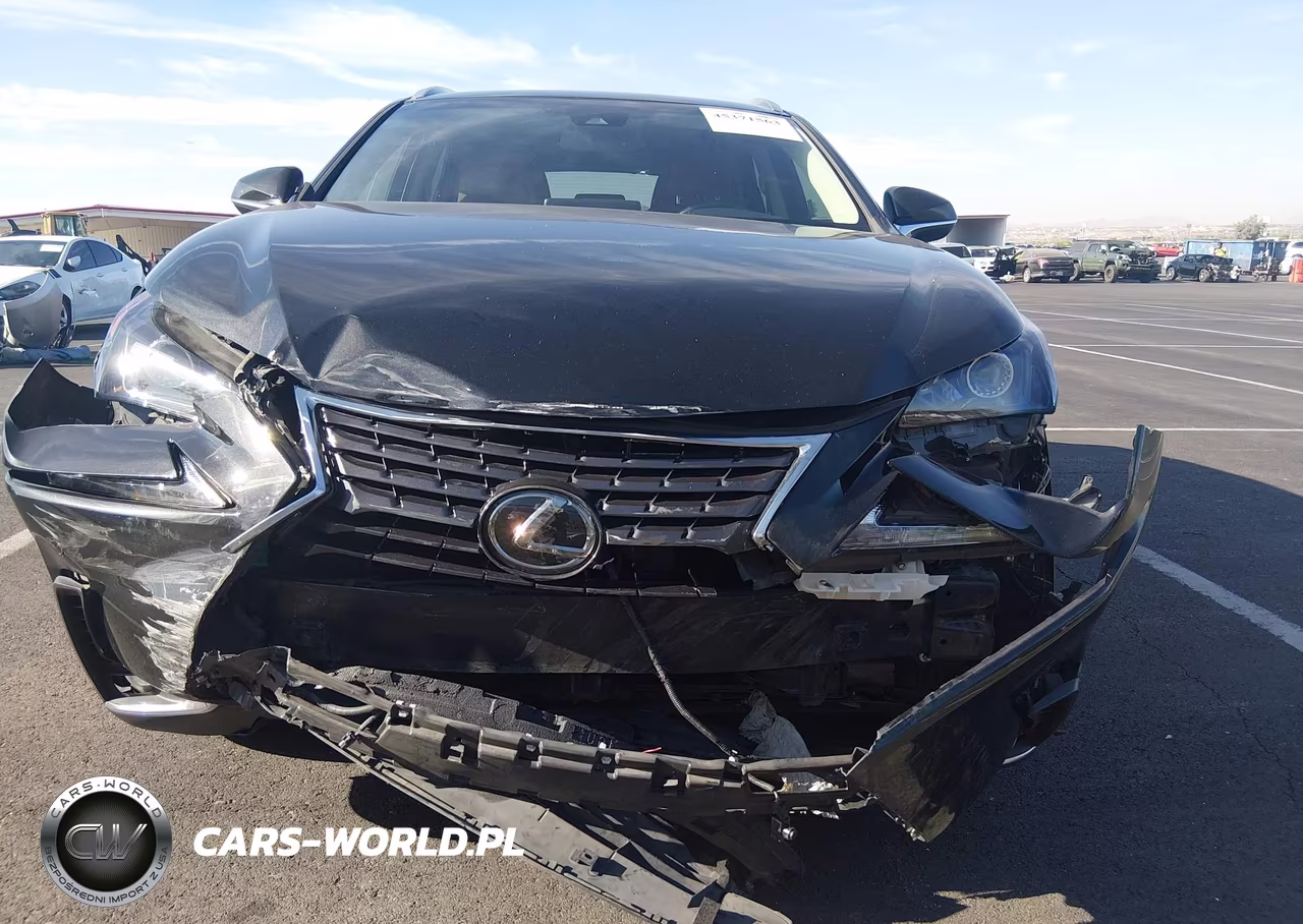 2019 Lexus Nx 300 VIN:JTJBARBZXK2192943 - 12