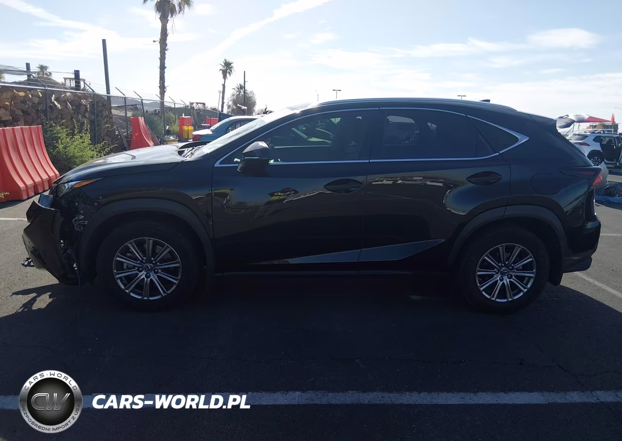 2019 Lexus Nx 300 VIN:JTJBARBZXK2192943 - 14