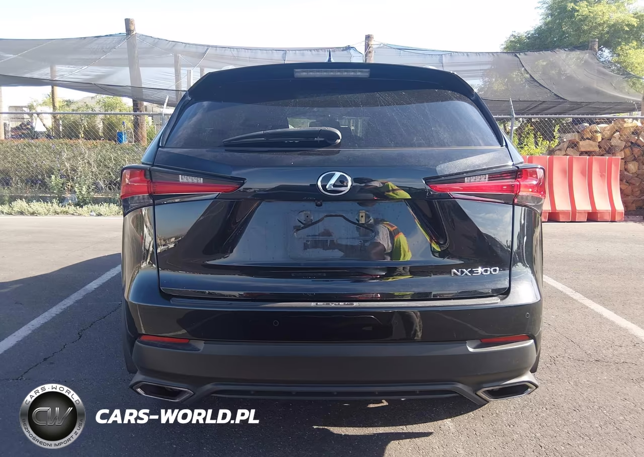 2019 Lexus Nx 300 VIN:JTJBARBZXK2192943 - 16