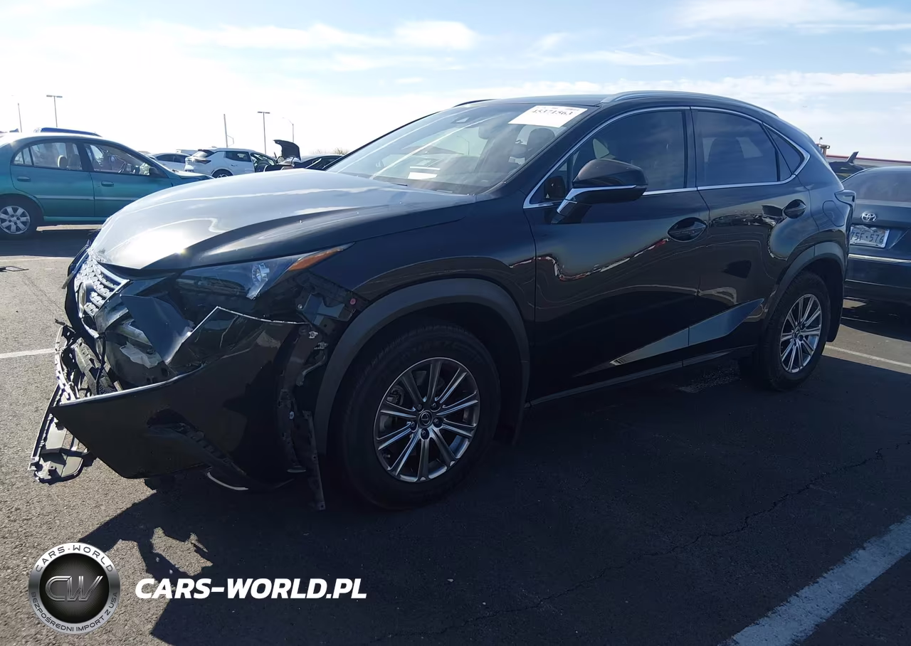 2019 Lexus Nx 300 VIN:JTJBARBZXK2192943 - 2