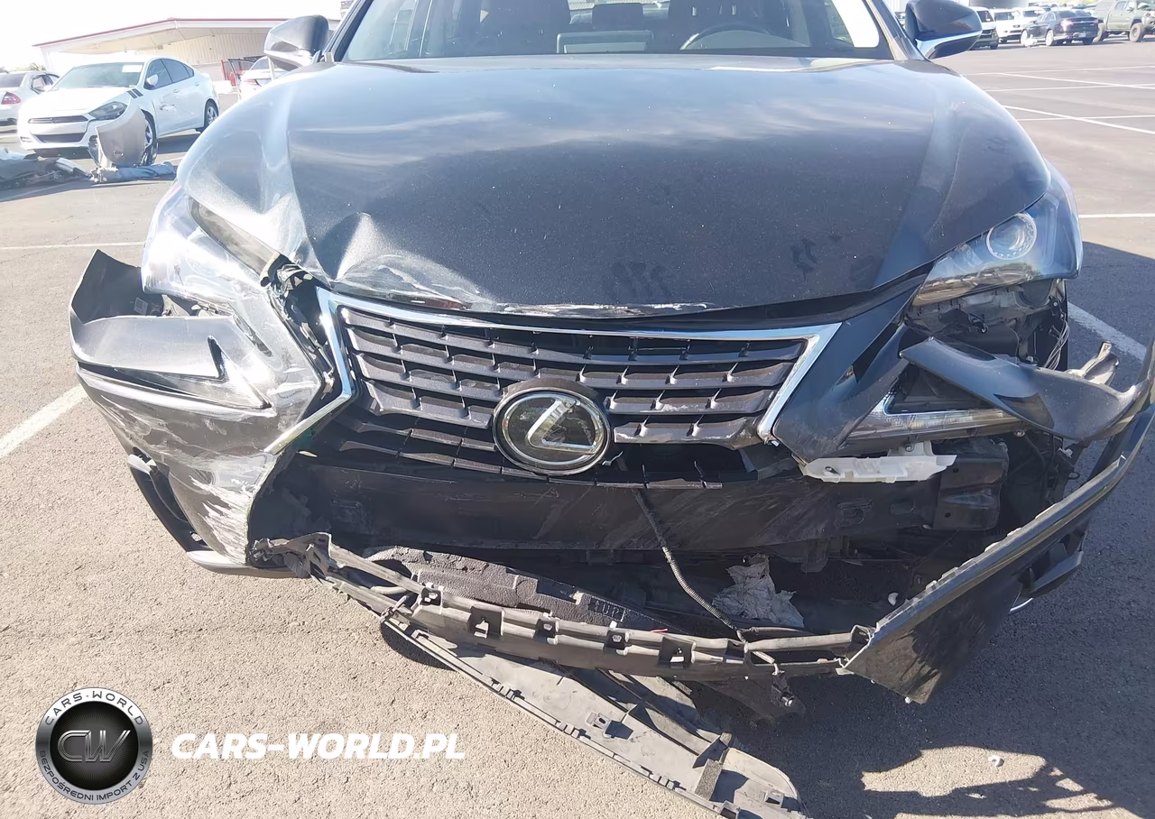 2019 Lexus Nx 300 VIN:JTJBARBZXK2192943 - 6