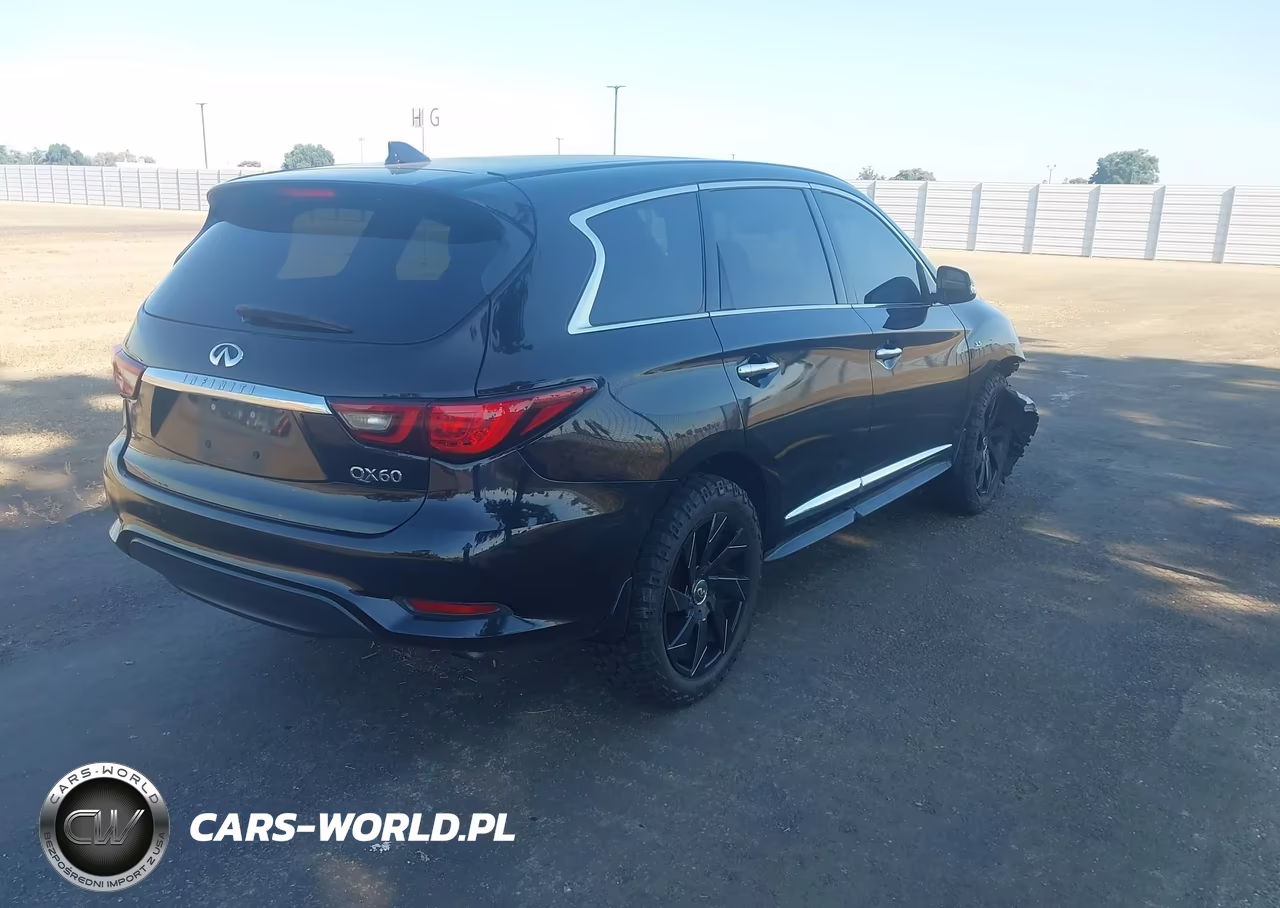 2020 Infiniti Qx60 Pure VIN:5N1DL0MN4LC524605 - 4