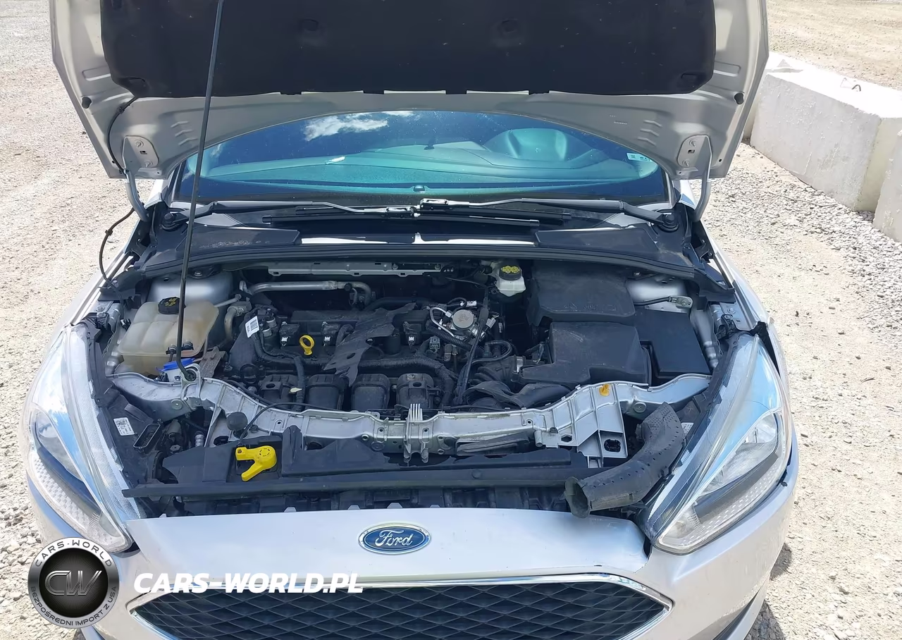 2018 Ford Focus Se VIN:1FADP3F25JL288451 - 10