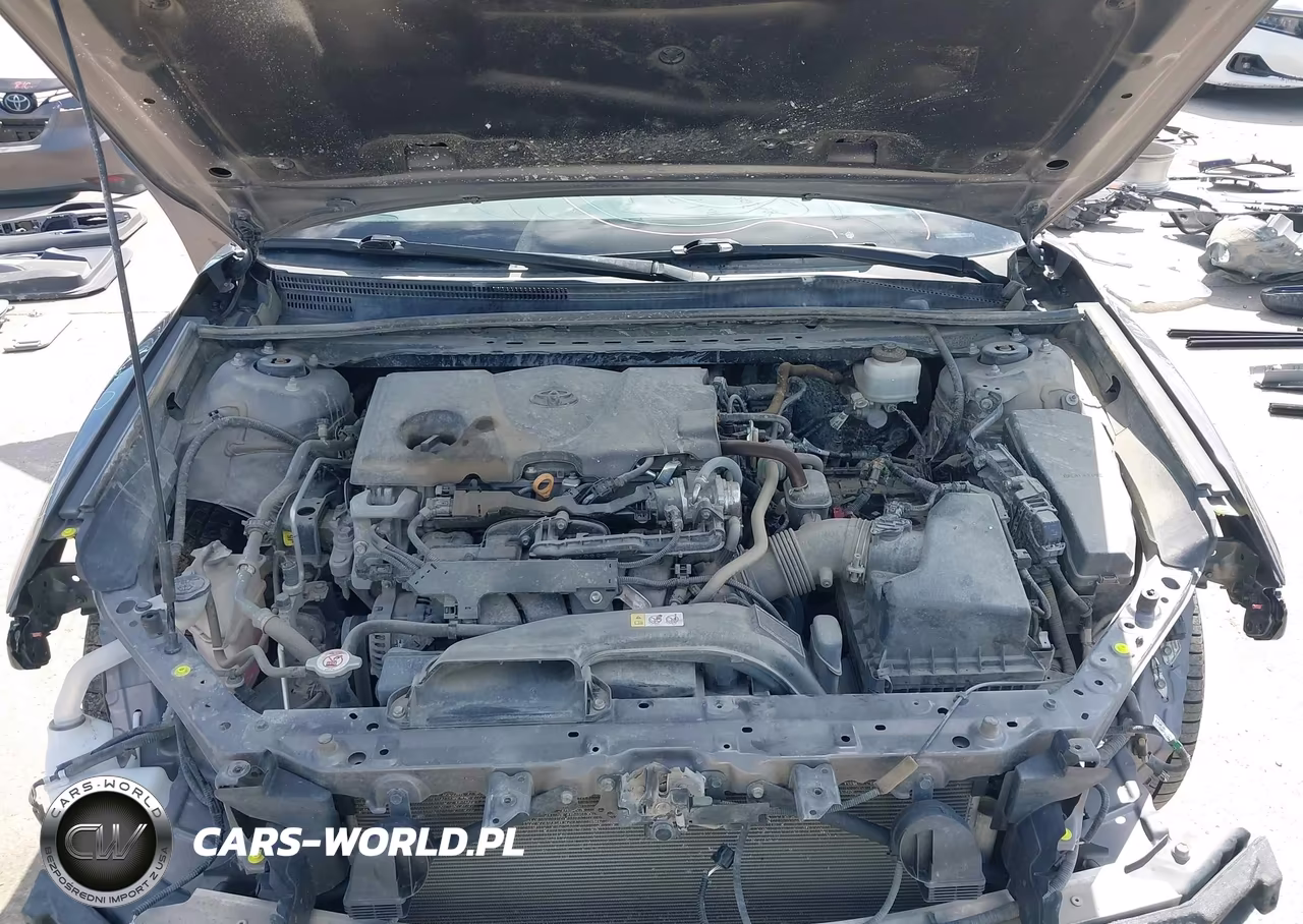 2023 Toyota Camry Le VIN:4T1C11AKXPU828040 - 10