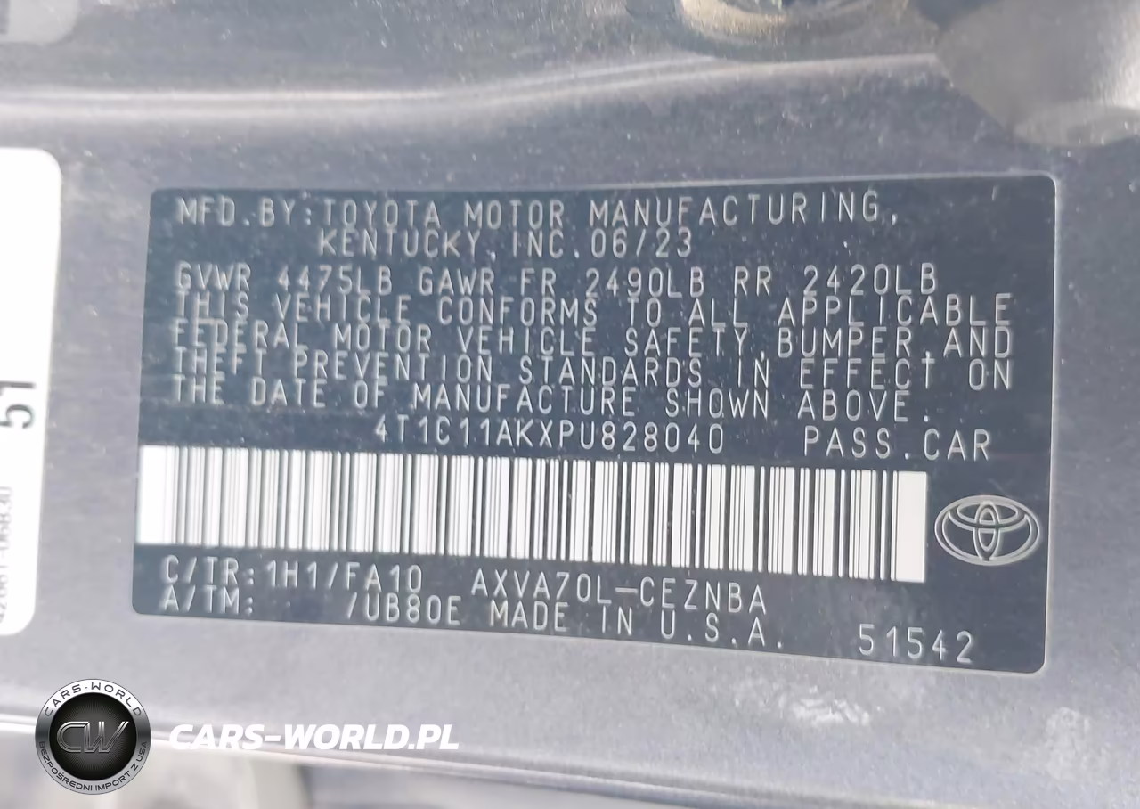 2023 Toyota Camry Le VIN:4T1C11AKXPU828040 - 9