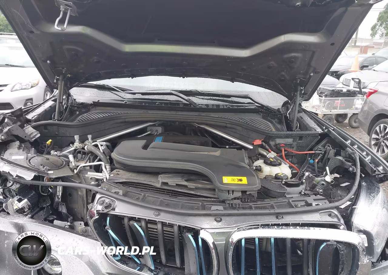 2018 BMW X5 Edrive xDrive40E Iperformance VIN:5UXKT0C58J0W00000 - 10