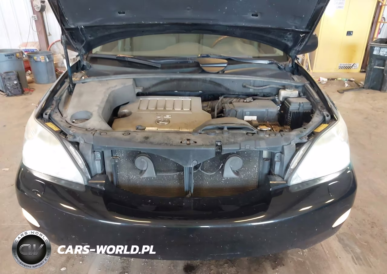 2009 Lexus Rx 350 VIN:2T2HK31U59C119595 - 10