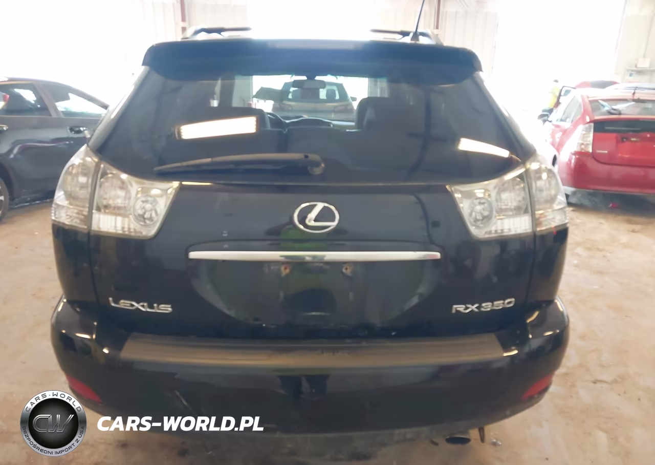 2009 Lexus Rx 350 VIN:2T2HK31U59C119595 - 16