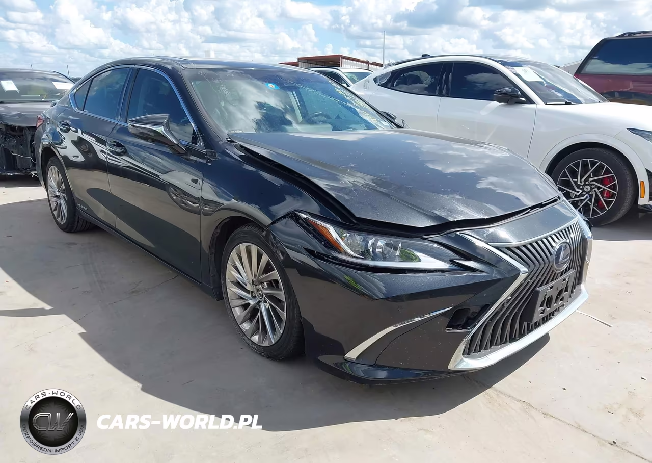 2019 Lexus Es 300H Luxury