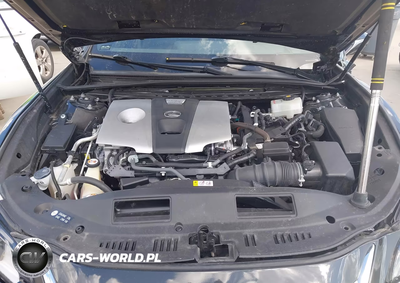 2019 Lexus Es 300H Luxury VIN:JTHB21B17K2007886 - 10