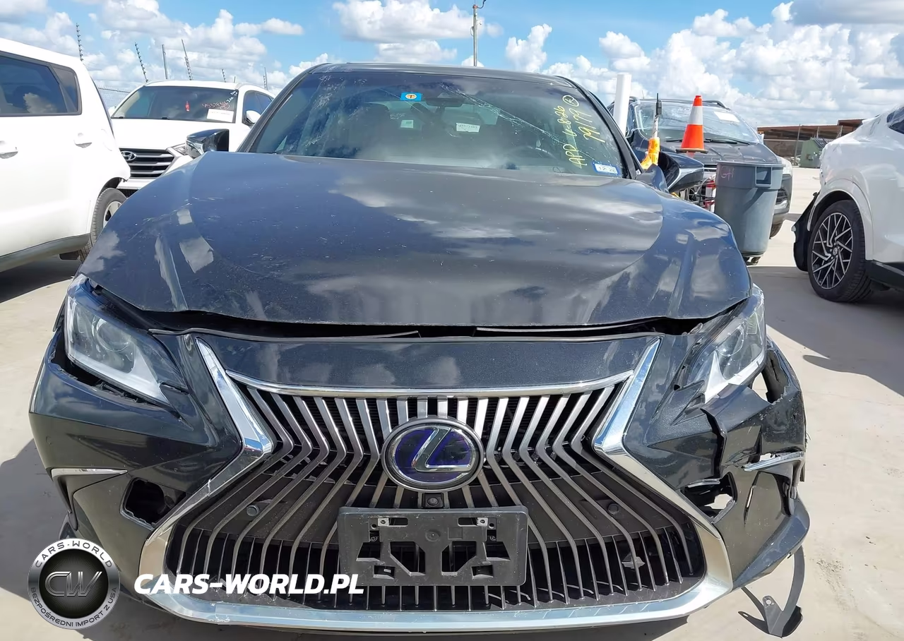 2019 Lexus Es 300H Luxury VIN:JTHB21B17K2007886 - 12