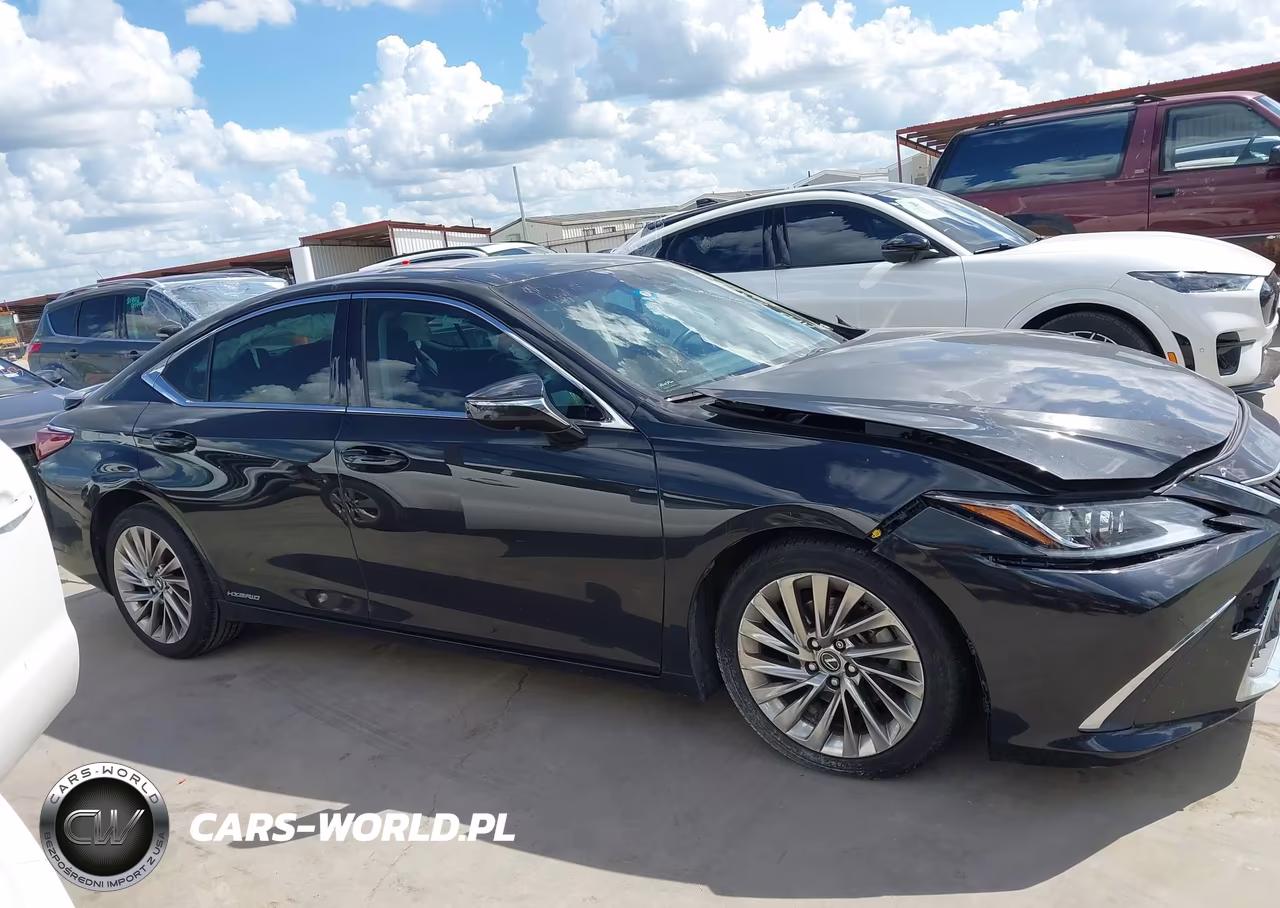 2019 Lexus Es 300H Luxury VIN:JTHB21B17K2007886 - 13