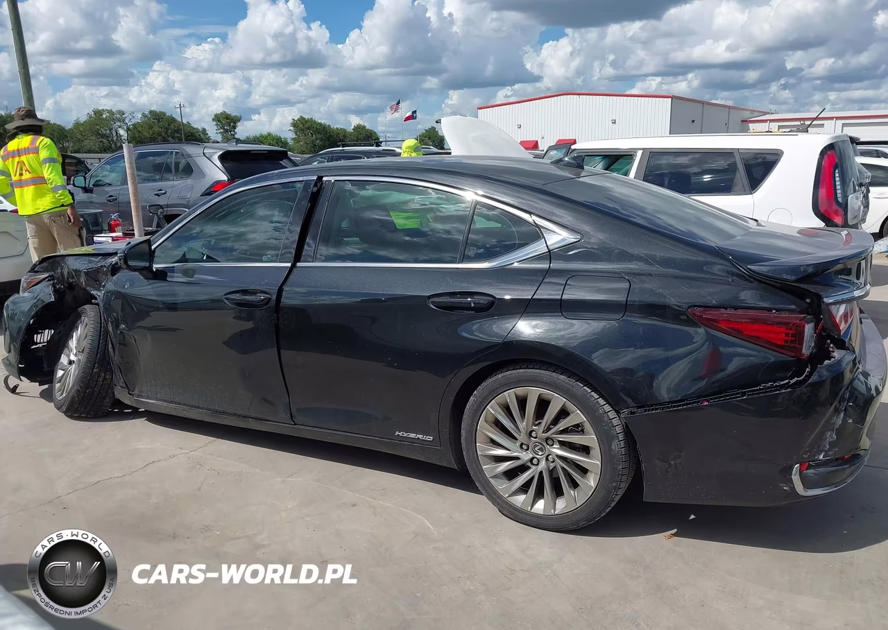 2019 Lexus Es 300H Luxury VIN:JTHB21B17K2007886 - 14